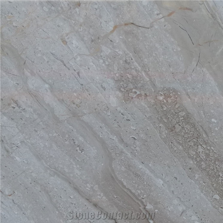 Tigrato Orientale Marble Tile