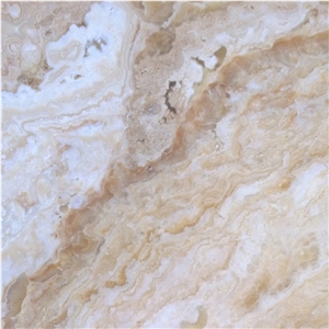Traonyx Vedi