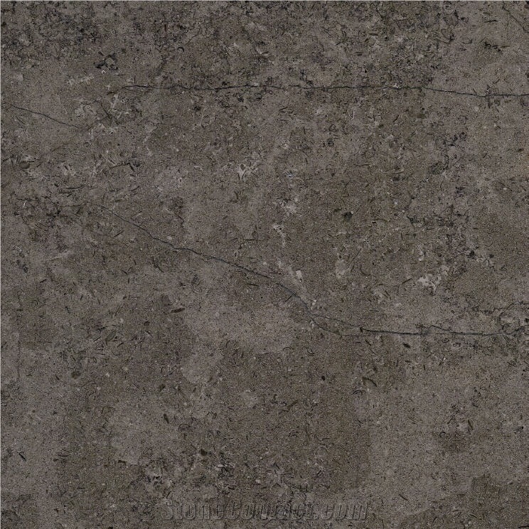 Triesta Grey Limestone 