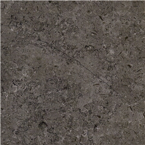 Triesta Grey Limestone Tile