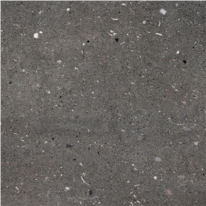 Turmak Grey Calcarenite
