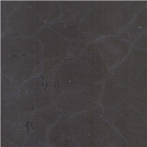 Turtle Brown Limestone