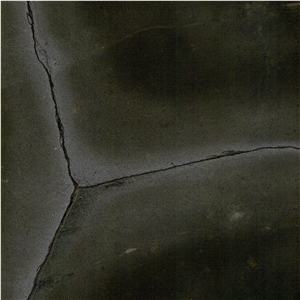 Turtle Illusion Quartzite
