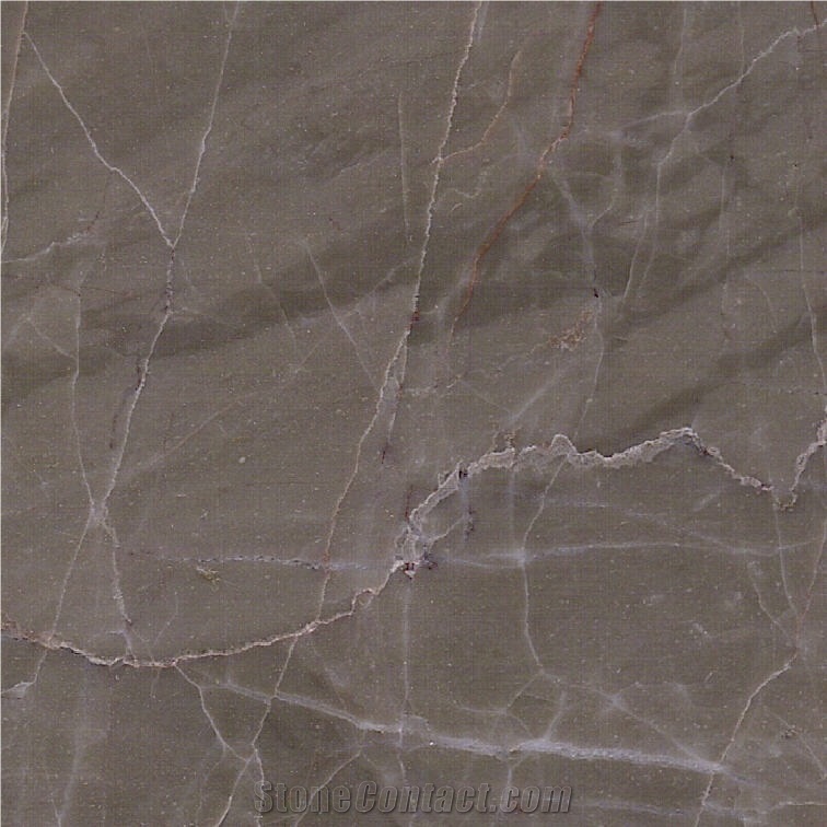Venus Gray Marble Tile