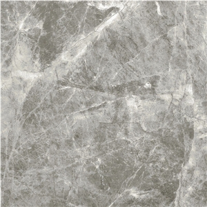 Venus Grey Marble
