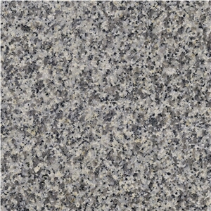 Vietnam Gold White Granite