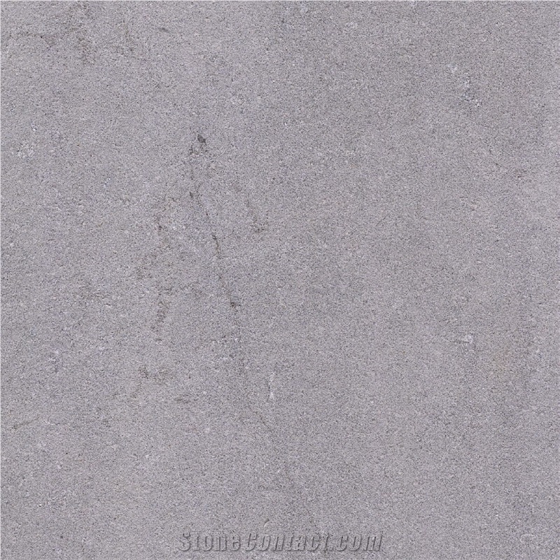 Vietnam Grey Sandstone 