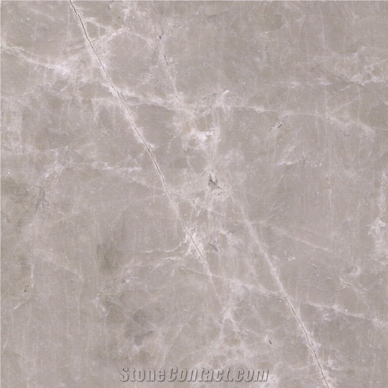 Vizon Grey Marble Tile