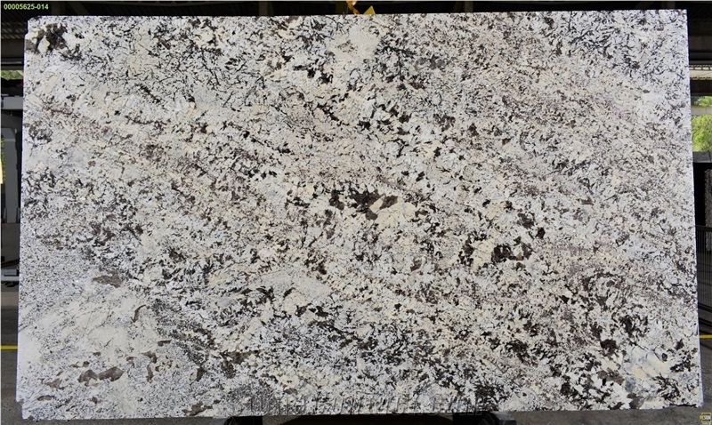 Vogue Branco Granite Slab