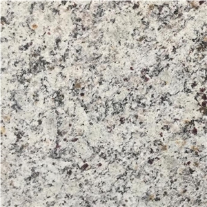 White Arabesco Granite