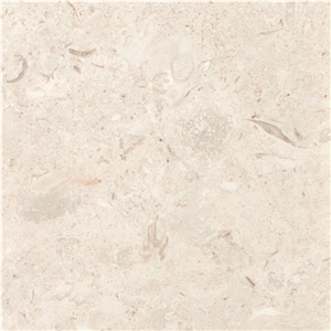 White Coral