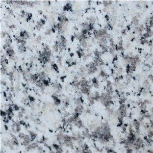 White Fortaleza Granite