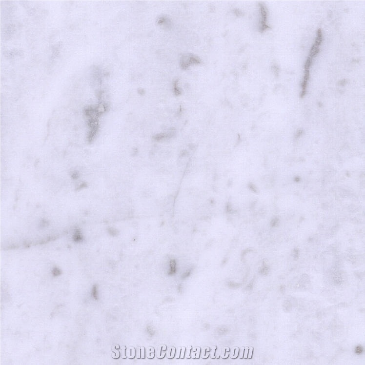 White Panther Marble Tile