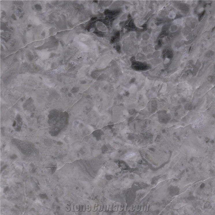 Wolf Grey Marble Tile