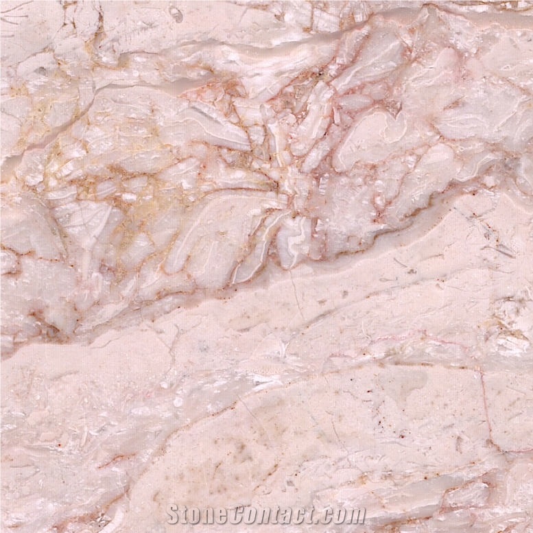 World Expo Gold Marble Tile