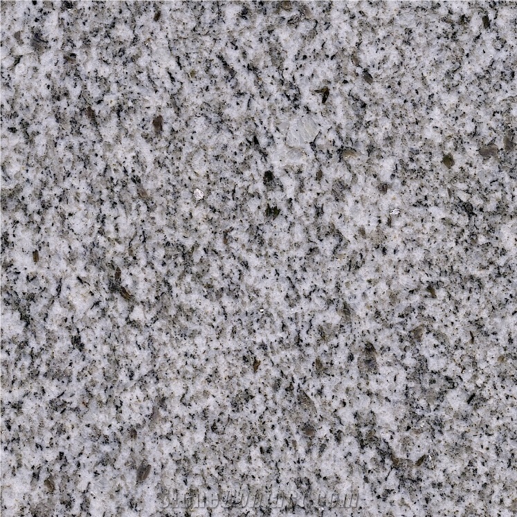 Xinjiang Sesame White Granite 