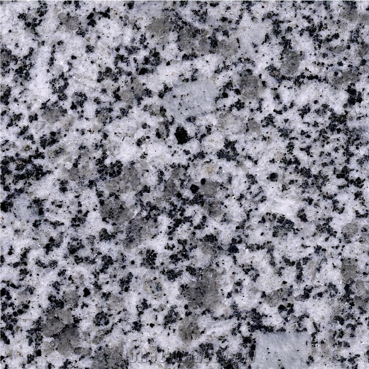 Zeera White Granite 