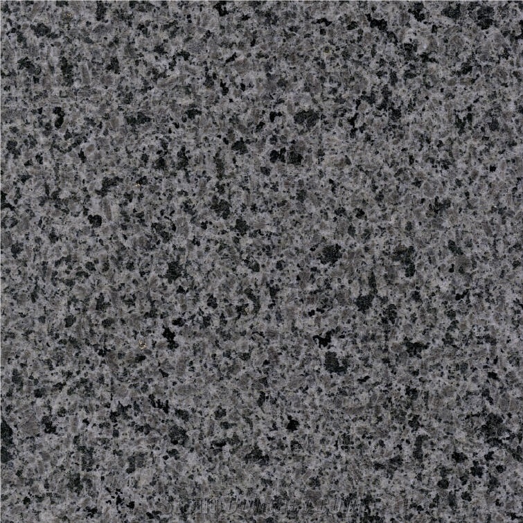 Zijing Grey Granite 