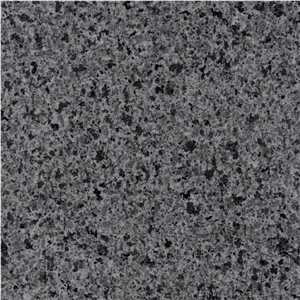 Zijing Grey Granite