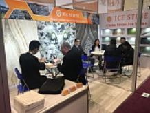 Coverings 2016
