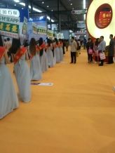 China (Nan an) Shuitou International Stone Exhibition 2016
