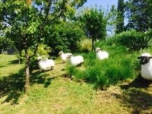 Sheep statues for Italian Client's garden 2014 Sheep statues for Italian Client's garden 2014