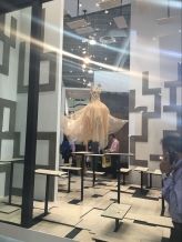 IBS & KBIS 2017