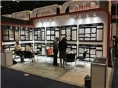 Coverings 2017