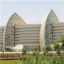 Sidra Medical and Research Center Project 2012