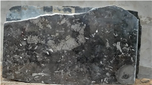 Marble Merzouga/Morocco Fossil Black Marble Quarry