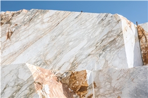 Calacatta Paonazzo Marble,Paonazzeto Marble,Paonazetto Bianco Marble Calocara A-102 Quarry
