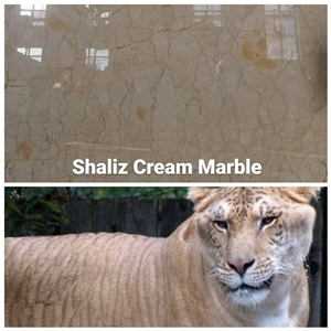 Shaliz Cream Marble Quarry