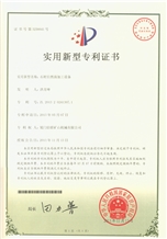 LETTER OF PATENT