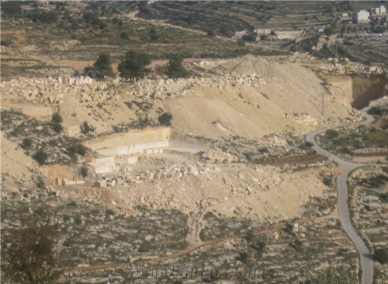 Jerusalem Bone A-16 Limestone Quarry