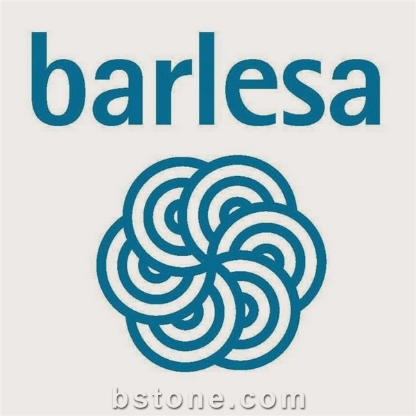 Barlesa Steel Wool