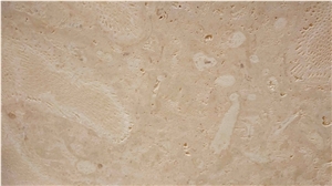 Calypso Coral - Classic Coral Stone, Golden Coral Stone Quarry
