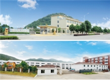 ZhengDa Machinery Co., LTD