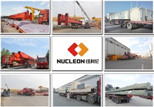 Nucleon crane group
