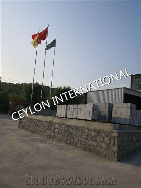 CEYLON INTERNATIONAL