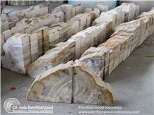 petrified wood indonesia