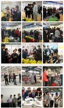 Laizhou Oriental Machinery Co., Ltd.