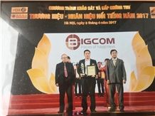 Viet Nam Bigcom Company