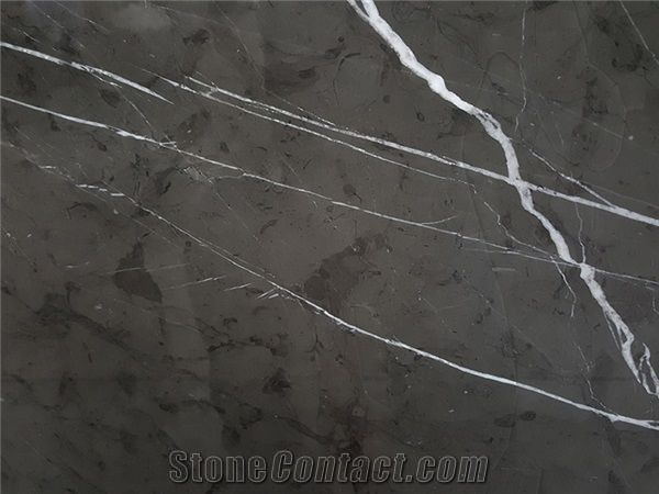 PALIZ Pietra Gray Marble