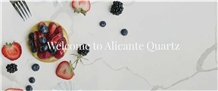 Alicante Quartz Surfaces & Thai Summit Stone Co. Ltd.