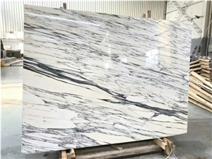 New arrived Arabescato Marble Slabs & Tiles Italy