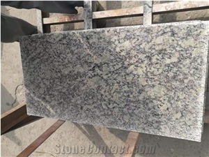 Samoa White Granite slab wall 