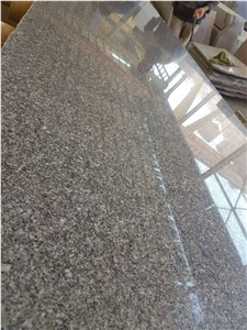 Gray Isis Granite Slabs, tiles