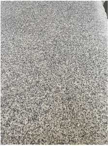 603 White Sesame Granite 60X240cm Polished Slabs