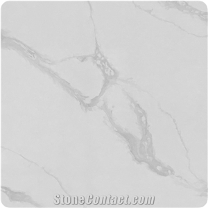 Good Quality Calacatta White Slabs for Countertops