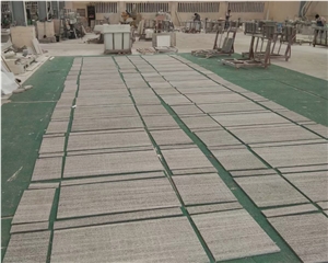 Olive Wood Granite 2x2 Tiles